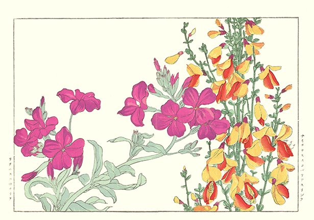 photo42.jpg