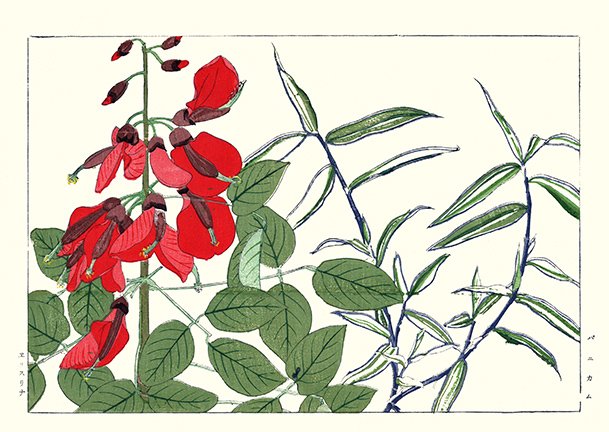 photo72.jpg