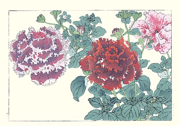 photo12.jpg