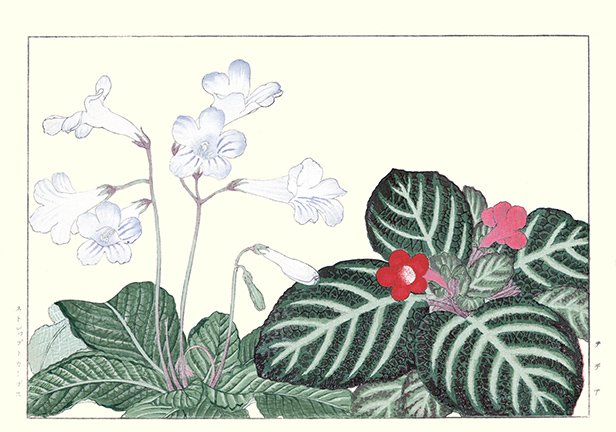 photo19.jpg
