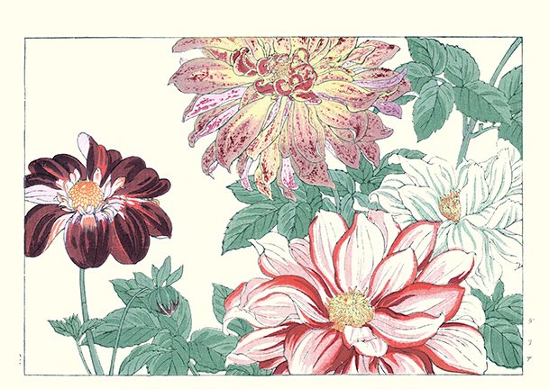 photo25.jpg