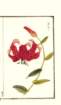 photo20_small.jpg