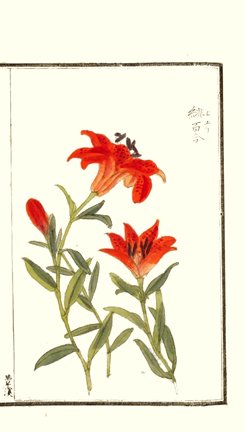 photo22.jpg