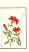 photo22_small.jpg