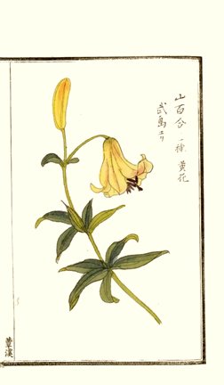 photo26.jpg