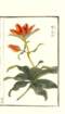 photo31_small.jpg