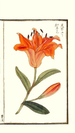 photo7.jpg