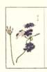 photo2_small.jpg