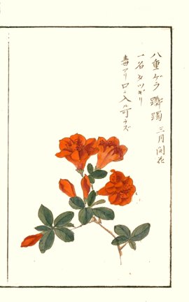 photo.jpg