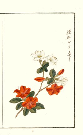 photo11.jpg