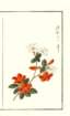 photo11_small.jpg