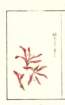 photo12_small.jpg