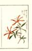 photo15_small.jpg