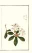 photo21_small.jpg