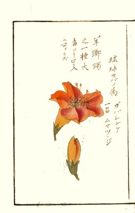 photo24.jpg