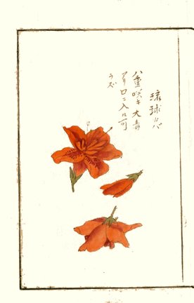 photo26.jpg