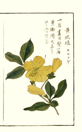 photo27.jpg