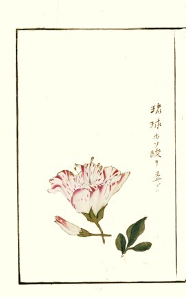 photo32.jpg