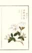 photo35_small.jpg