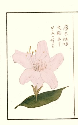 photo36.jpg