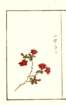 photo38_small.jpg