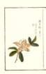 photo6_small.jpg