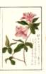 photo7_small.jpg