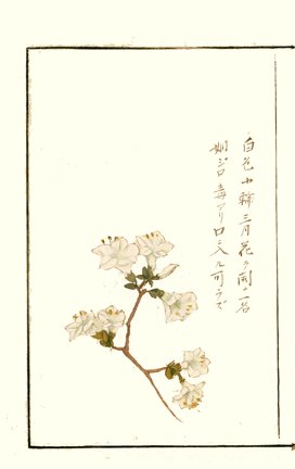 photo8.jpg