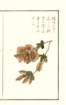 photo9_small.jpg