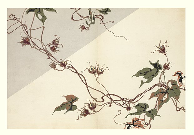photo9.jpg