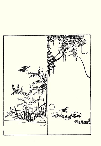 photo11.jpg
