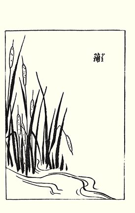 photo17.jpg