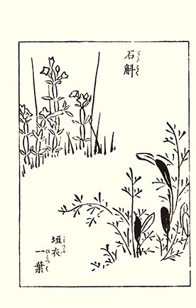 photo22.jpg