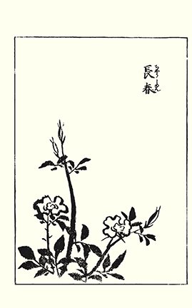 photo38.jpg