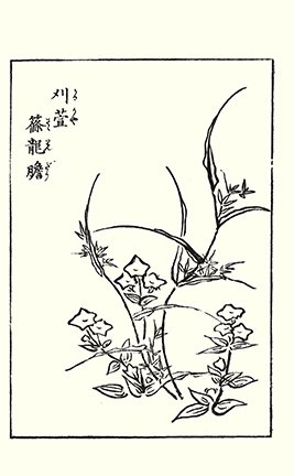 photo9.jpg