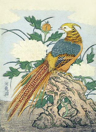 photo16.jpg