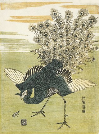 photo20.jpg