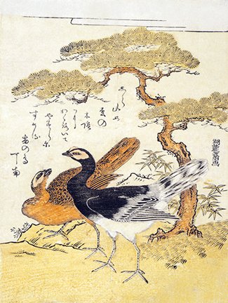 photo22.jpg