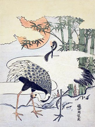 photo24.jpg