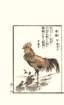 photo10_small.jpg