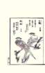photo12_small.jpg
