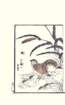 photo14_small.jpg