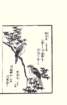 photo15_small.jpg
