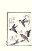 photo16_small.jpg