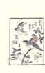 photo18_small.jpg