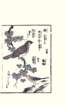 photo19_small.jpg