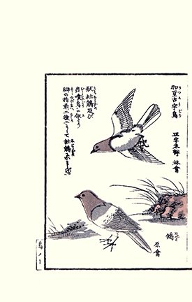 photo20.jpg