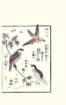photo21_small.jpg
