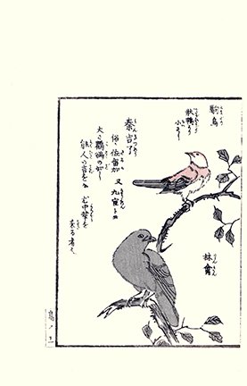 photo22.jpg