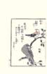 photo22_small.jpg